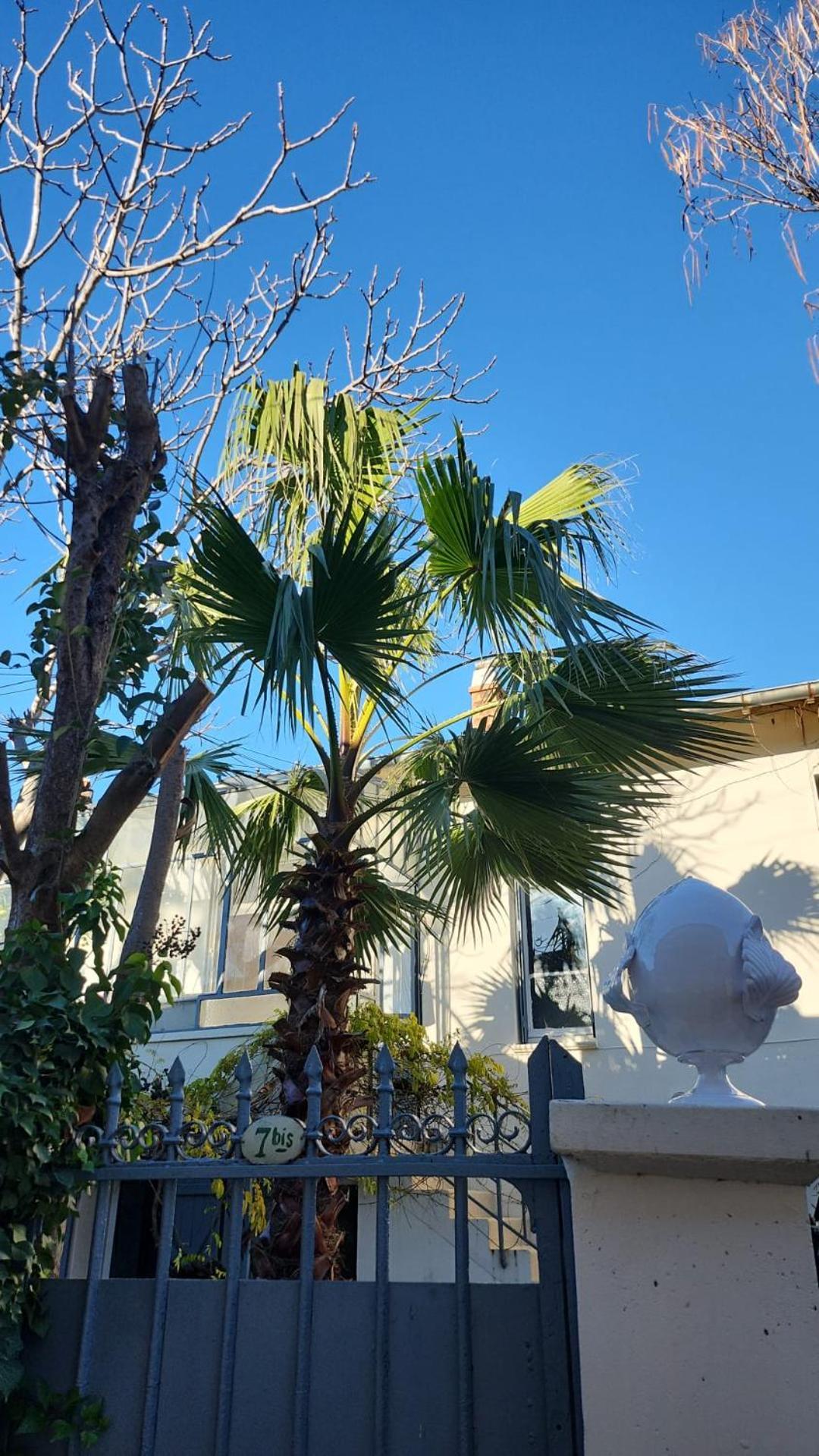 Le Nid Villa Avignon Eksteriør bilde